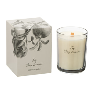 J-Line bougie parfumée Figue Baie Feuilles - large - 50H