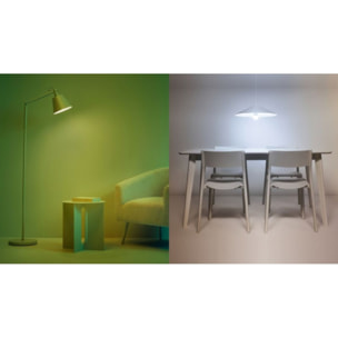 Ampoule LED connectée WIZ E27 Couleur 60W pack de 2