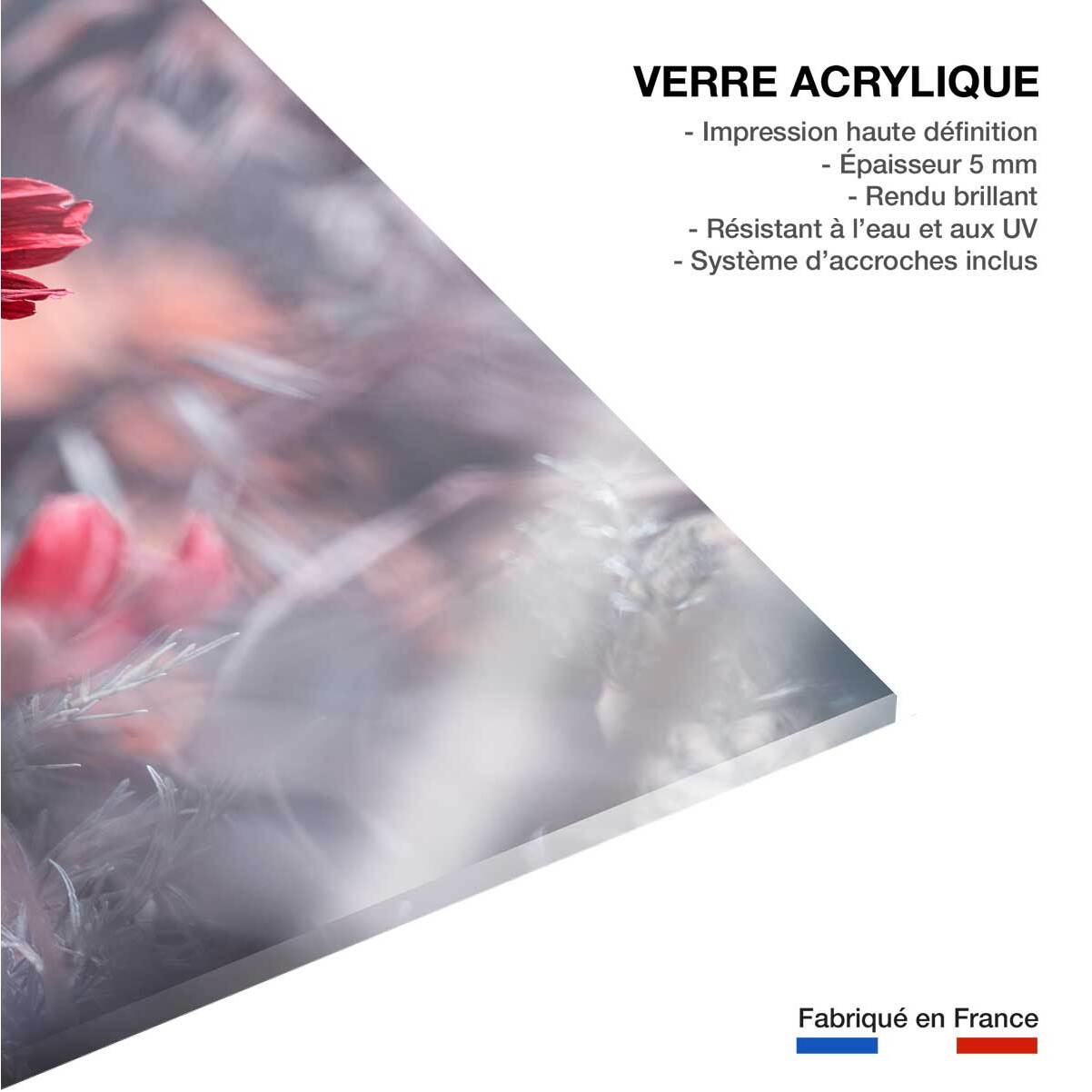 Tableau fleurs carmen  Tableau plexiglas