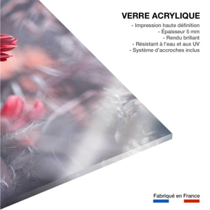 Tableau fleurs carmen  Tableau plexiglas