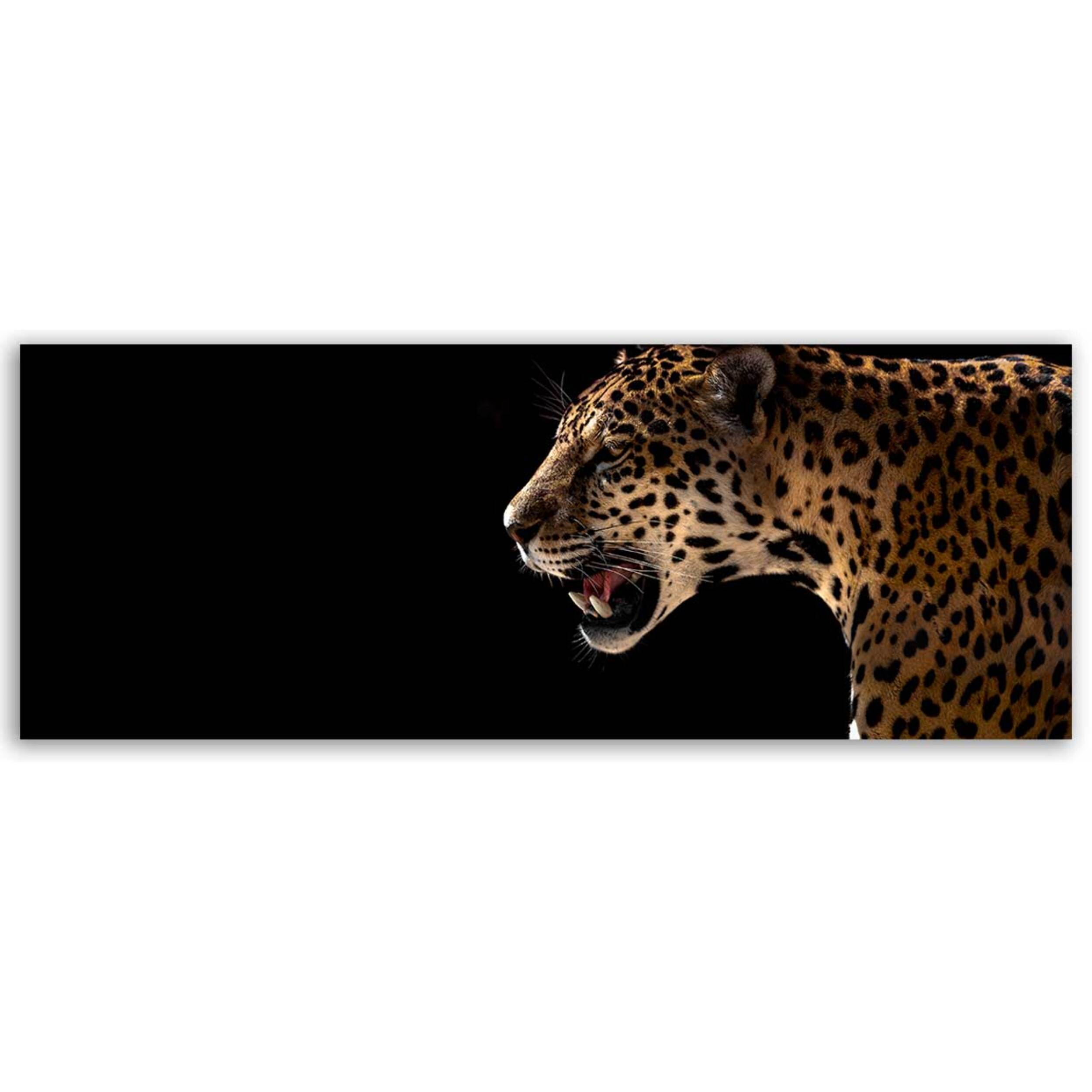 Tableau panoramique léopard sauvage fond noir art animalier Toile imprimée