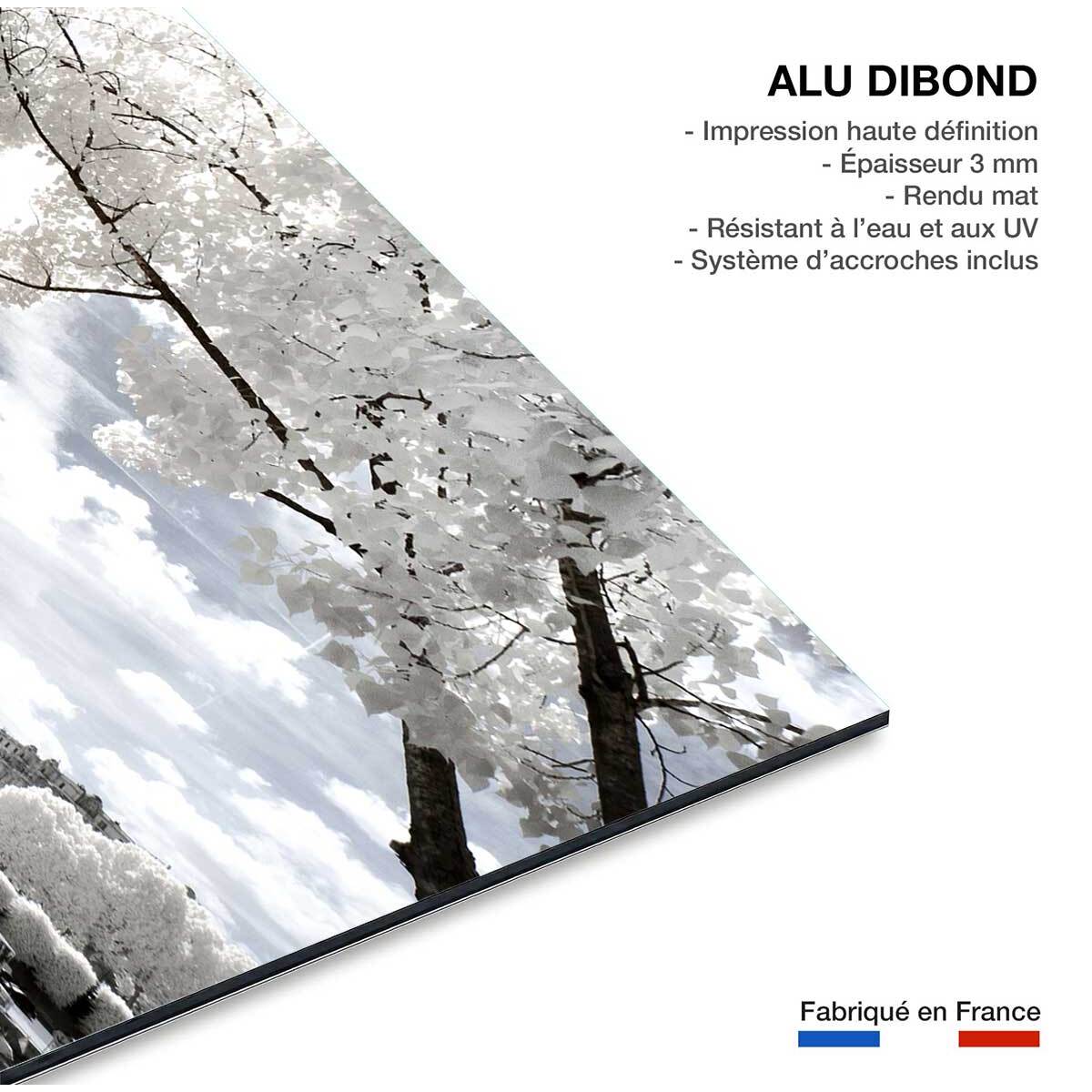 Tableau paris tour eiffel blanche  Tableau alu Dibond