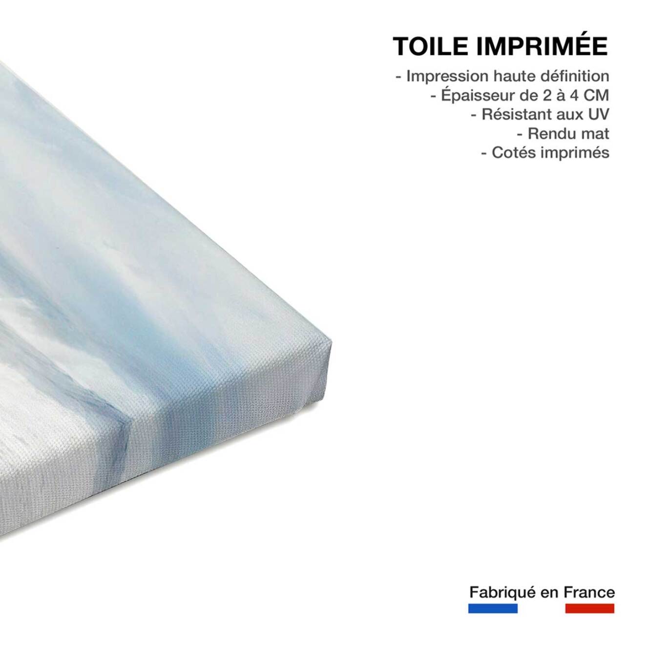 Tableau cheval mouvement du cheval  Toile imprimée