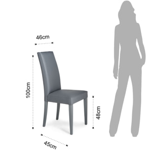 Tomasucci Lot de 2 Chaises JENNY GREY Gris