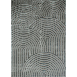 BIANCA - Tapis arc-en-ciel gris avec longs poils en relief