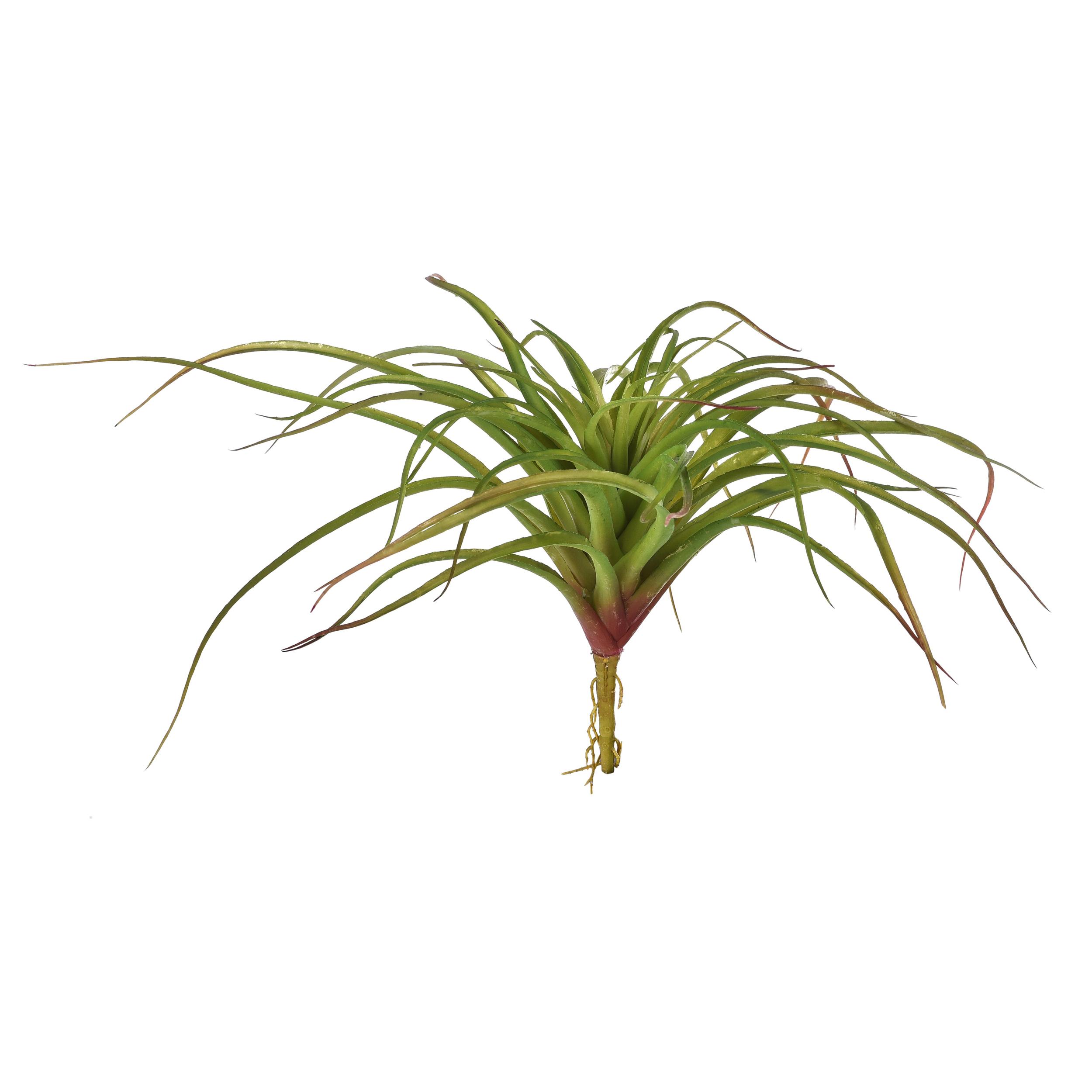 Tillandsia. Misure 30X40 Cm - Pezzi 3 - 40X30X30cm - Colore: Verde - Bianchi Dino - Piante Artificiali