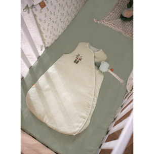 Lot de 2 draps housse bébé en coton bio