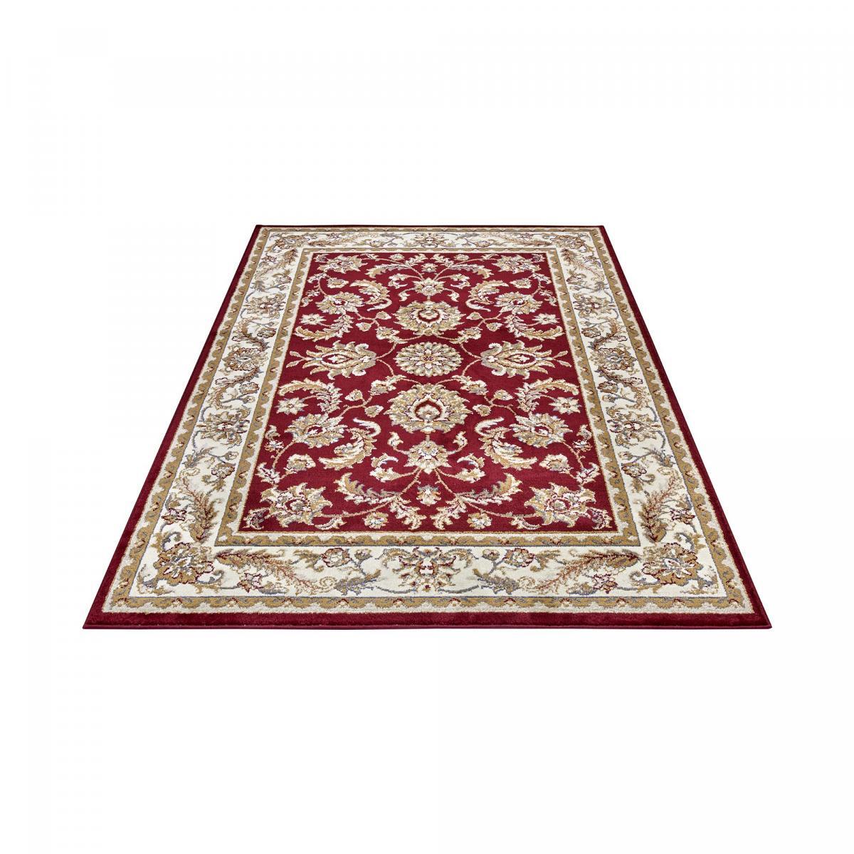 Tapis salon Rectangulaire Oriental