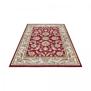 Tapis salon Rectangulaire Oriental