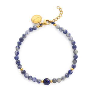 Bracciale Amulet Cianite Acciao Placcato Oro