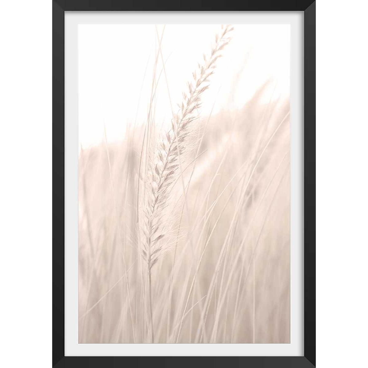 Poster blé poudré Affiche + cadre en bois - Noir