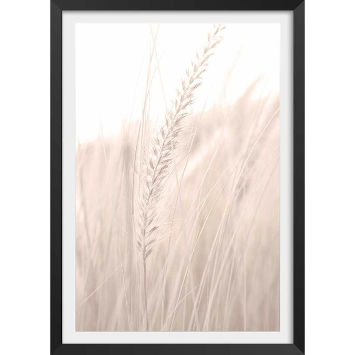 Poster blé poudré Affiche + cadre en bois - Noir