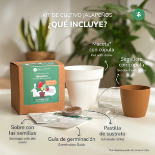 Kit de autocultivo Jalapeños Planeta Huerto