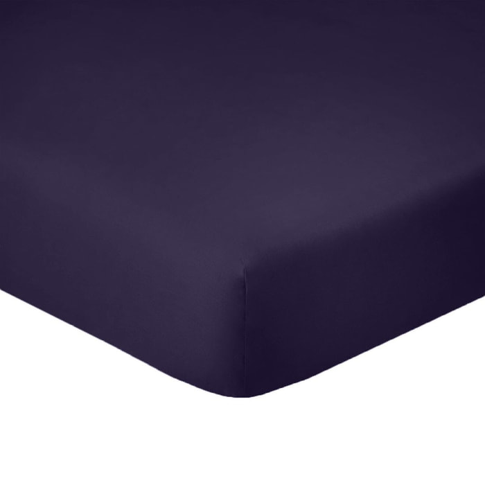 Lot de 2 draps housse - bonnet 35cm 100% coton 57fils bleu imperial