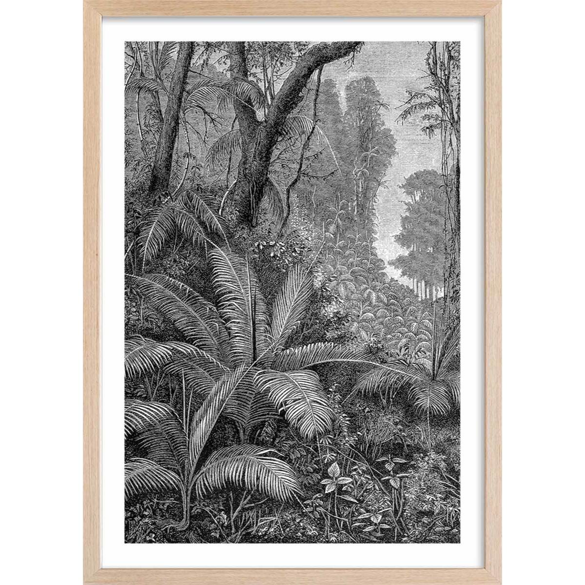 Affiche paysage jungle indienne Affiche + cadre en bois - Chêne
