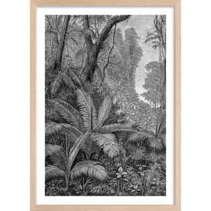 Affiche paysage jungle indienne Affiche + cadre en bois - Chêne