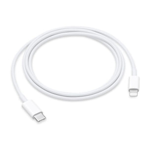 Câble Lightning APPLE USB-C vers lightning 1m