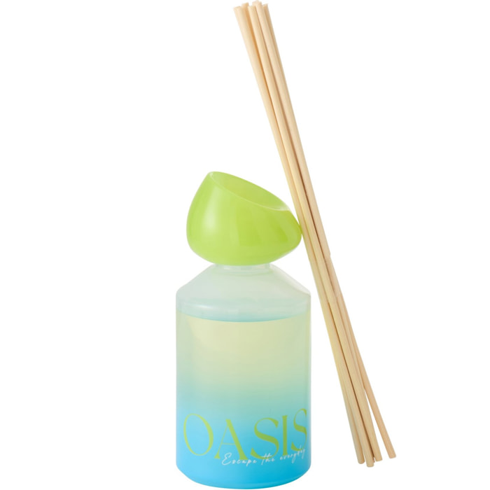 J-Line Bâtonnets parfumés Oasis Solvant - Spring Ivy & Neroli - verre - bleu/vert - small