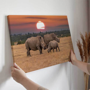 Tableau rhinocéros en famille au coucher du soleil Toile imprimée