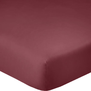 Drap Housse - Bonnet 35cm 100% Coton 57fils Cerise