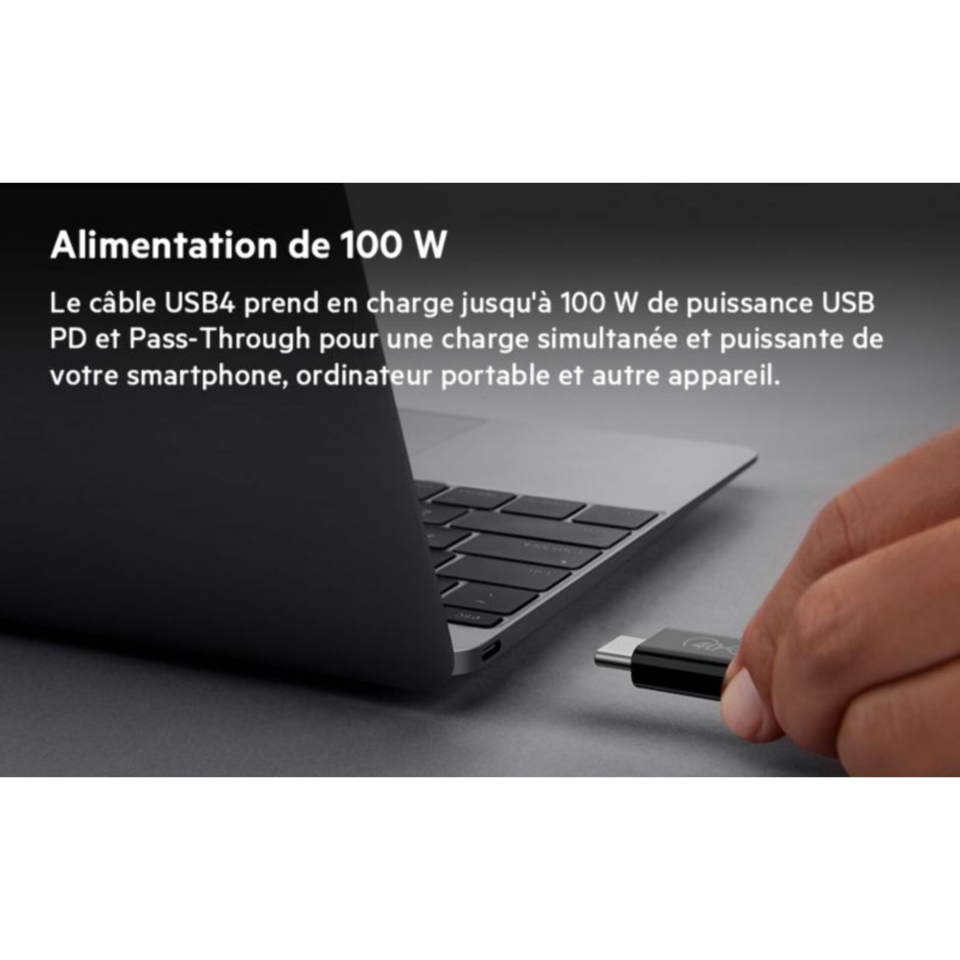 Adaptateur USB C BELKIN USB 4 C 0.80M