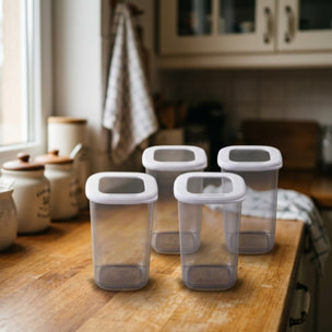 Lot de 4 Boîtes à Provisions Fackelmann Storage