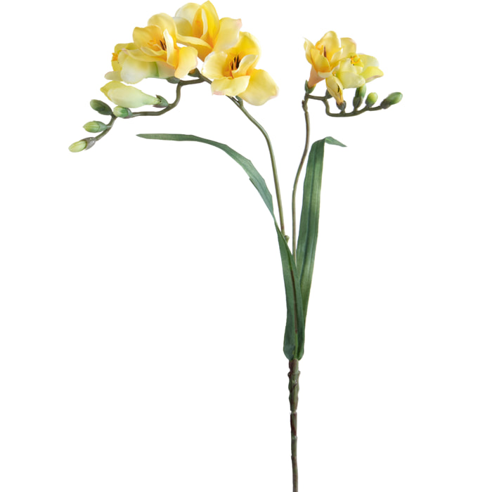 Fiore Di Fresia Con Due Fiori. Altezza 63 Cm Prova - Pezzi 6 - 8X63X6cm - Colore: Giallo - Bianchi Dino - Fiori Artificiali