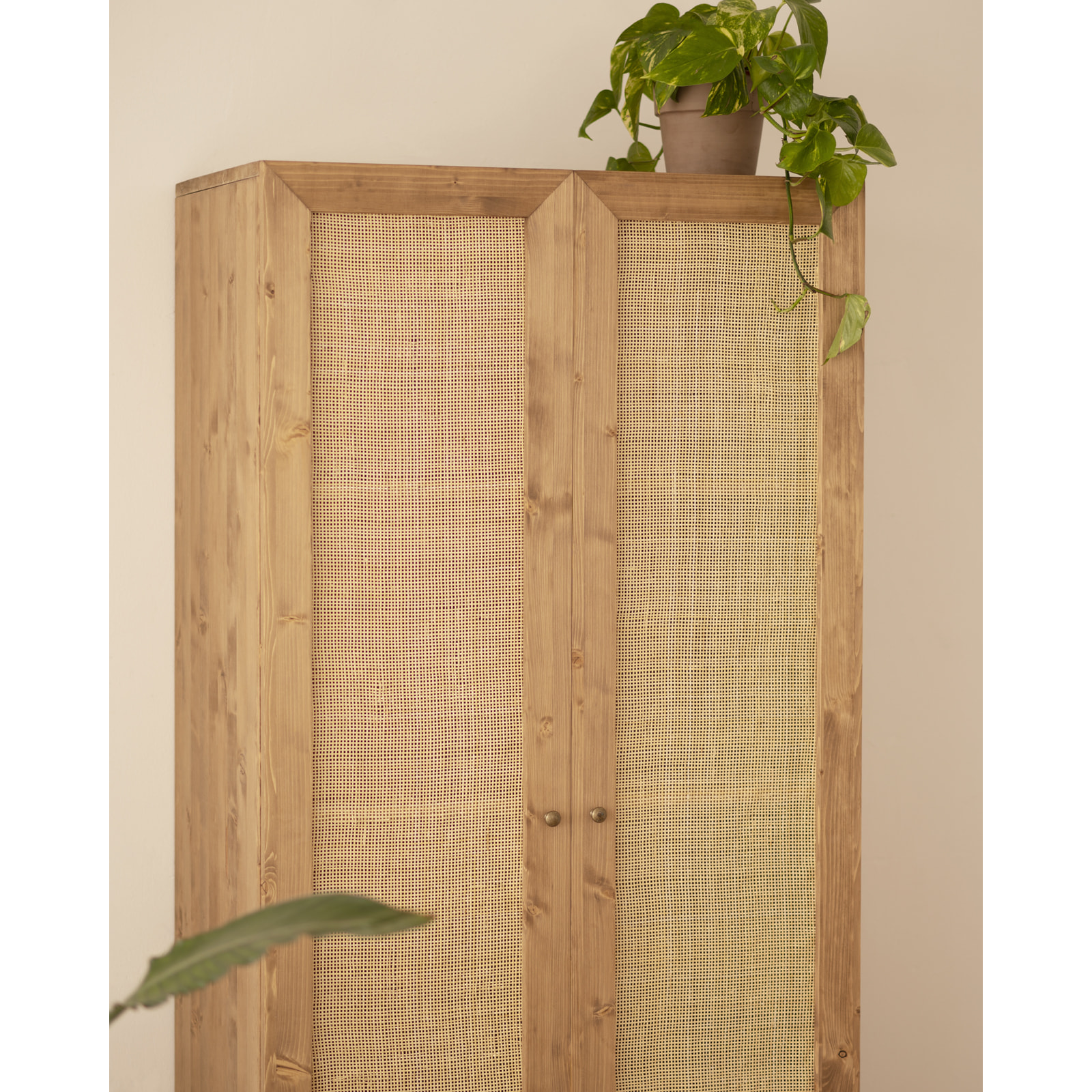 Armoire en bois massif et rotin moelleux ton chêne foncé 180x80cm Hauteur: 180 Longueur: 80 Largeur: 40