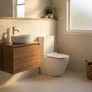 PixL WC à poser sans bride + abattant SoftClose + réservoir de chasse, alimentation par le bas, blanc brillant (CEPX030RREXVPBI)