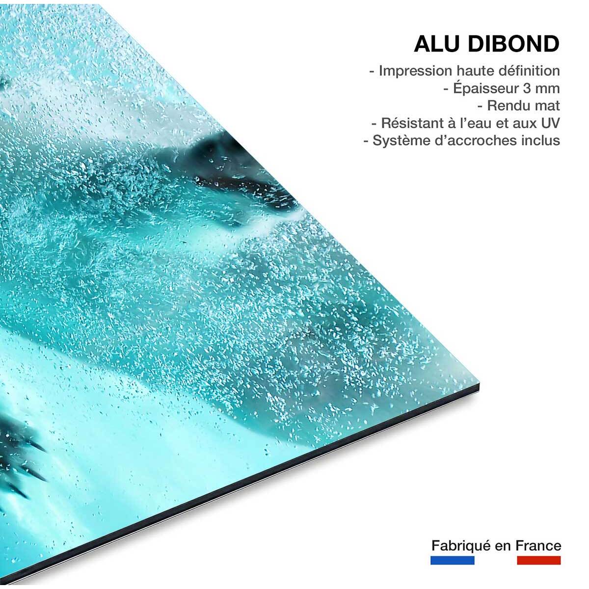 Tableau ours blanc en plein plongeon Tableau alu Dibond