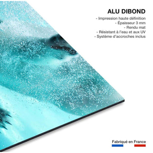 Tableau ours blanc en plein plongeon Tableau alu Dibond