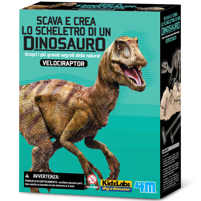 Scava e crea lo scheletro di un Velociraptor