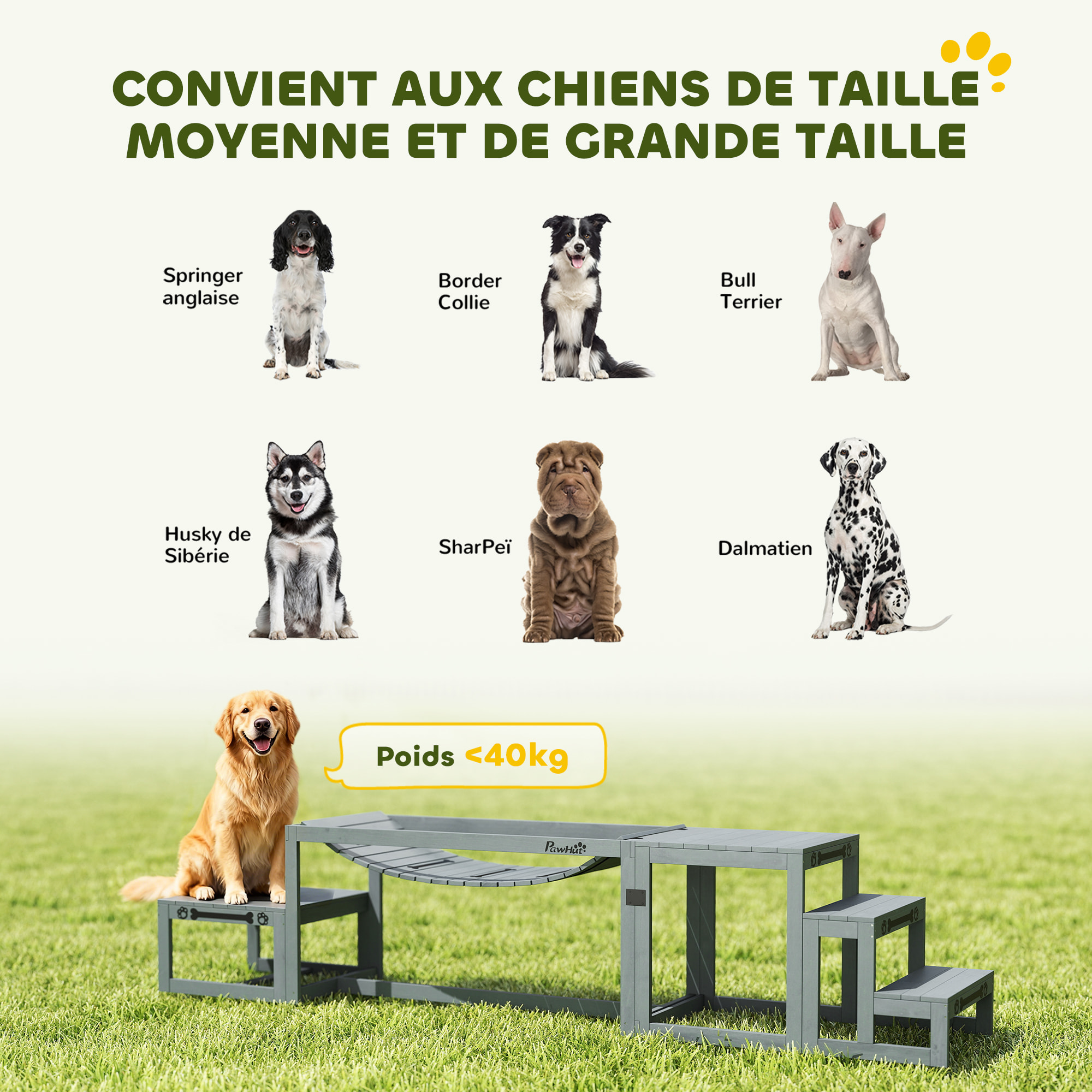 Passerelle agility chiens - Passerelle pour parcours canins d'Agility - bois de sapin gris