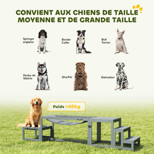 Passerelle agility chiens - Passerelle pour parcours canins d'Agility - bois de sapin gris