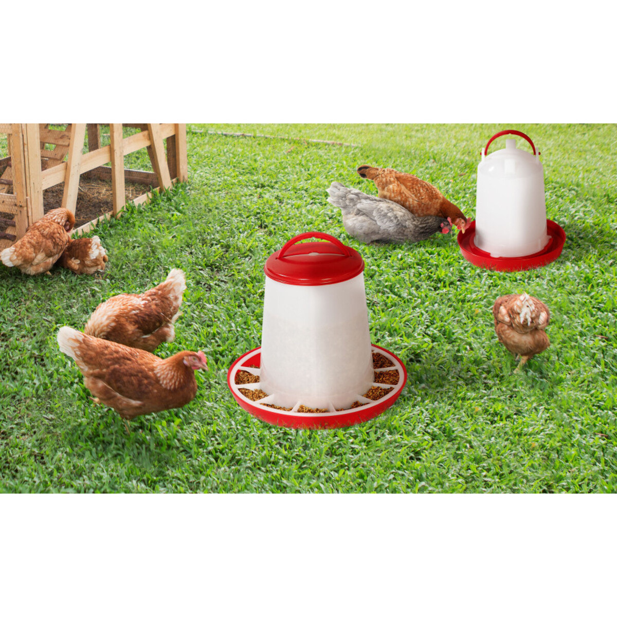 Pack complet mangeoire + abreuvoir à poules