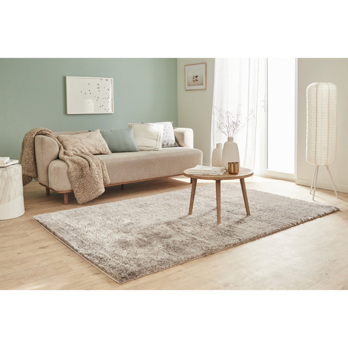 Cosy - tapis salon à poils longs tout doux, taupe