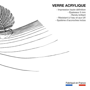 Tableau voilier fougeres Tableau plexiglas