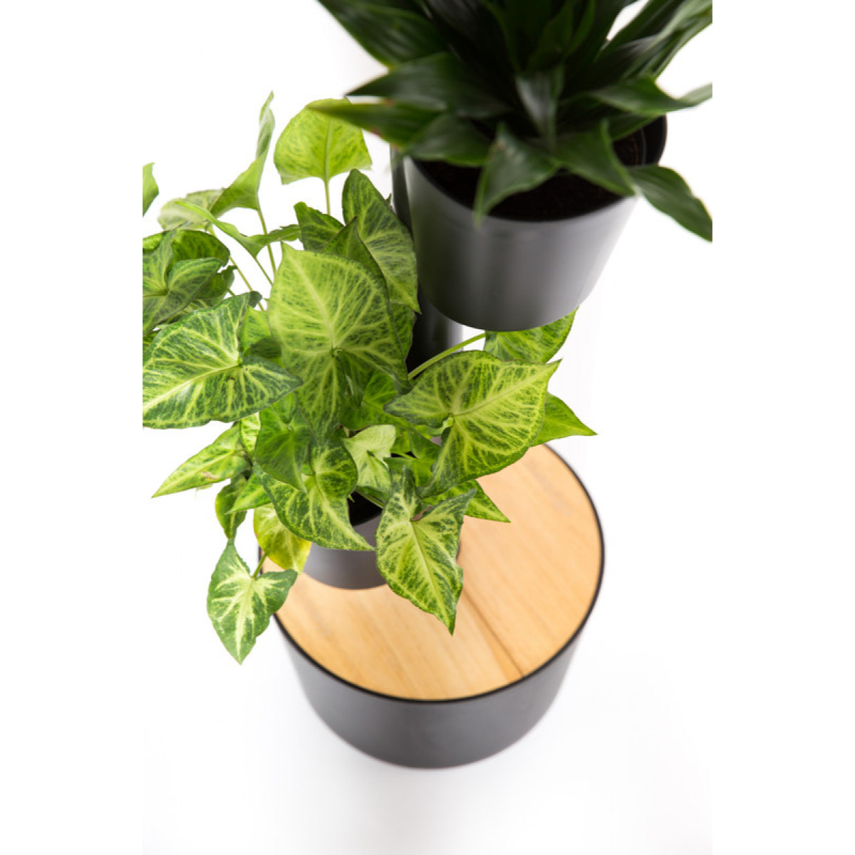 Jardinera vertical con plantas de interior; negro de 3 macetas con riego automático