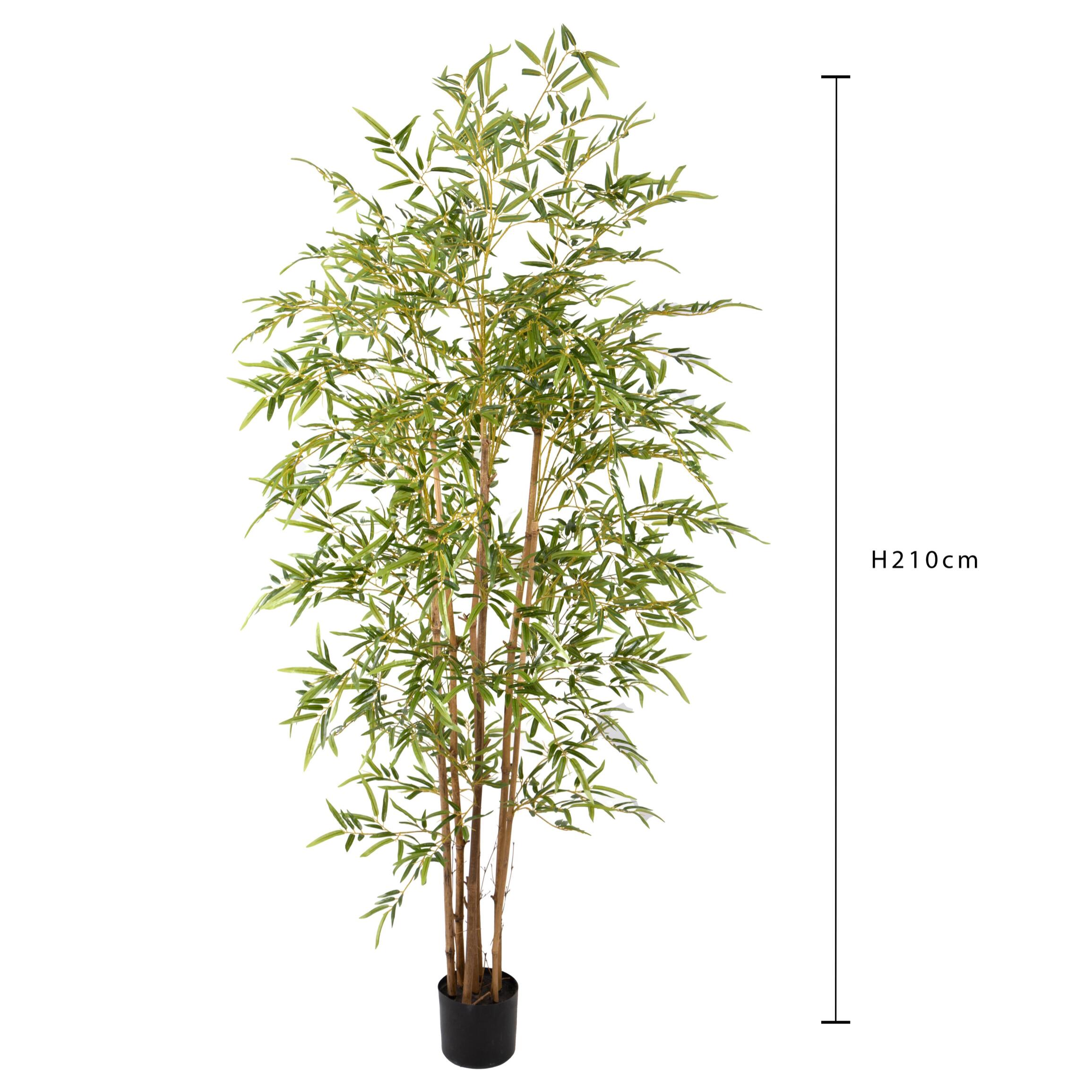 Bamboo con vaso - Pezzi 1 - Colore: Verde - 20xH210x20cm - Bianchi Dino