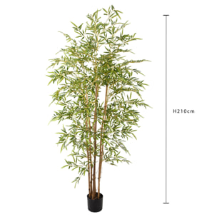 Bamboo con vaso - Pezzi 1 - Colore: Verde - 20xH210x20cm - Bianchi Dino