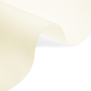 Well home estor enrollable translúcido liso - beige, 170 x 175cm (ancho x largo)/tamaño de la tela 167 x 170cm