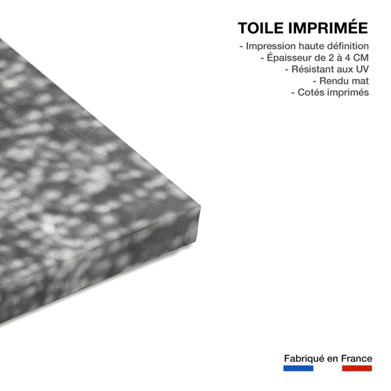 Tableau france contre le pays de galles en 1969  Toile imprimée