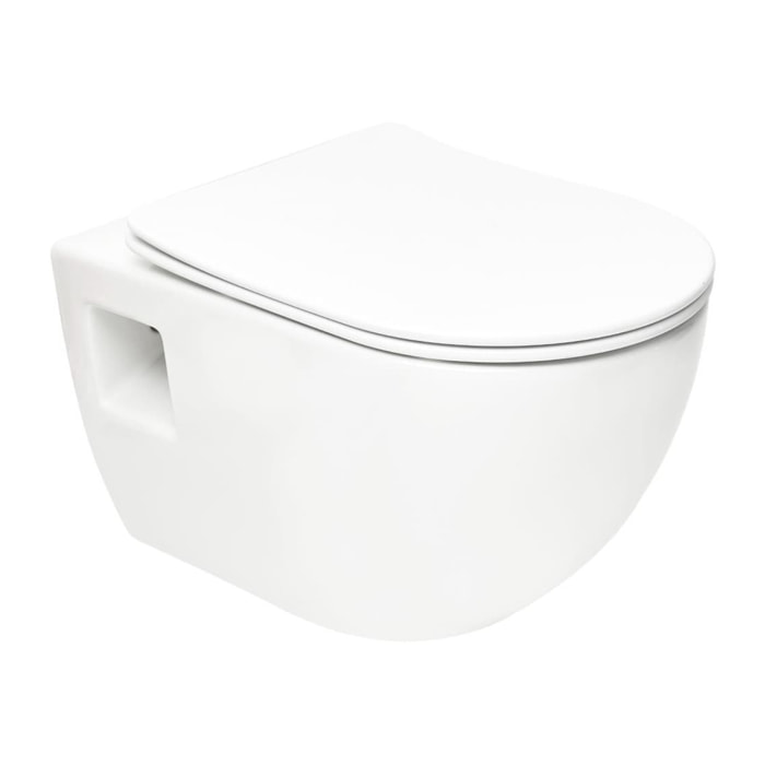 Duofix pack WC bâti-support + WC suspendu sans bride Swiss Aqua Technologies avec abattant SoftClose + plaque (GEBSTPRWR01-FR)