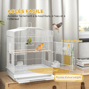 Cage oiseaux portable grande porte 5 trappes nourrissage + accessoires