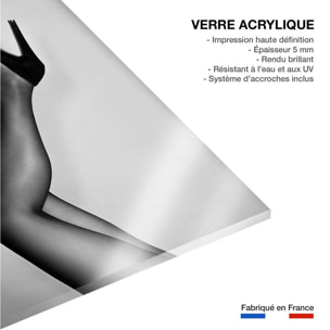 Tableau contemporain Talons de velours Tableau plexiglas