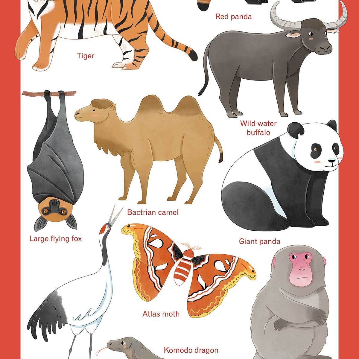 Affiche enfant animaux d' asie  Affiche + cadre en bois - Noir