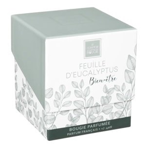 Bougie parfumée "Mael" - eucalyptus 190g