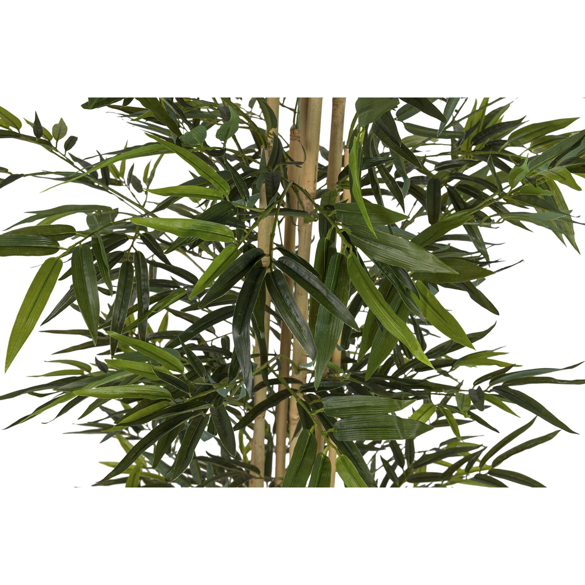 Planta Bamboo Con Maceta 80x80x192 Cm