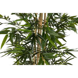 Planta Bamboo Con Maceta 80x80x192 Cm