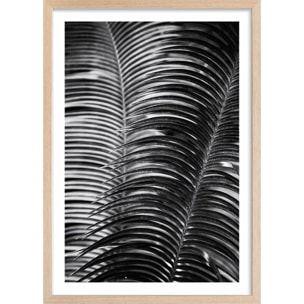 Poster jungle Sun palm Affiche sous cadre bois